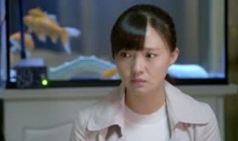 电视剧安居在线观看,揭秘现代都市购房记