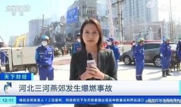 资阳记者爆料事件视频播放,视频揭露惊人真相