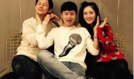 谢娜爆料何炅范冰冰视频,揭秘娱乐圈幕后故事