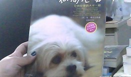 狗狗心事在线观看,窥探宠物内心世界的温暖之旅