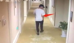 网红酒店视频爆料事件,揭秘酒店背后的惊人真相