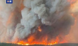 野火在线观看,燃烧激情，探索未知的人生旅程