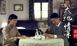 大地情深在线观看,穿越时空的家园情怀