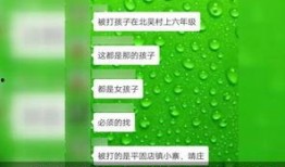 爆料河北学校事件视频最新,真相背后引发社会关注