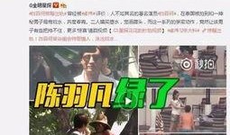刘翔峰全部爆料视频大全,揭开真相背后的重重疑云