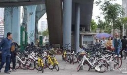 厦门共享单车最新爆料,揭秘最新爆料背后的变革与挑战