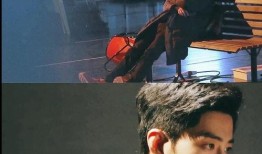 圈内爆料肖战的真相,圈内爆料背后的真实故事