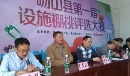 砀山新闻爆料热线