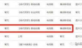 网红酒店视频爆料事件,揭秘酒店背后的惊人真相