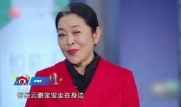 鲁豫爆料袁隆平视频,一段珍贵视频背后的故事