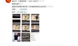 网红事件爆料最新消息,最新爆料揭露惊人内幕