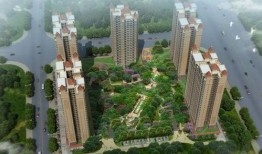 玉林最新大爆料新闻,揭秘背后惊人真相