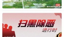 广西宾阳最新闻爆料视频,视频揭露惊人真相！