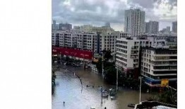 湛江最新市民爆料,市区惊现神秘建筑，引网友热议！