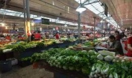 河南菜市场爆料视频,新鲜食材与人间烟火气交织