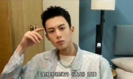 王鹤棣兄弟爆料视频播放,揭秘娱乐圈幕后真相