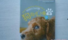 狗狗心事在线观看,窥探宠物内心世界的温暖之旅