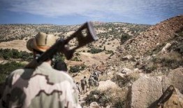 最新散兵爆料图片高清大图