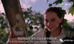 flipped电影在线观看,师生情谊的奇妙旅程