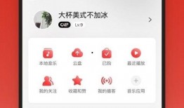 网易云大佬爆料视频下载,下载攻略大公开！