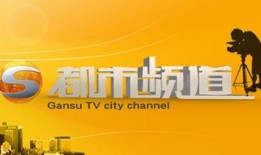 甘肃卫视在线观看,尽享精彩瞬间，在线观看新体验