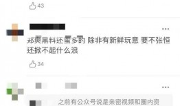 张恒爆料网站大全视频播放,揭秘视频内容背后的真相