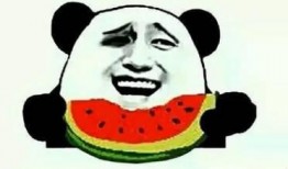 吃瓜小逗说娱乐,吃瓜小逗带你揭秘娱乐圈最新热点事件