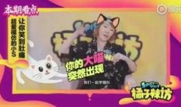 超有梗爆料的视频,笑料横飞，笑出腹肌！