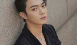 娱乐圈爆料新恋情许凯,娱乐圈再掀甜蜜风波