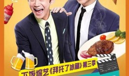 拜托了冰箱第三季在线观看,揭秘明星冰箱里的秘密美食！