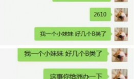 yy最新爆料消息,揭秘娱乐圈惊人内幕，独家揭秘明星真实生活
